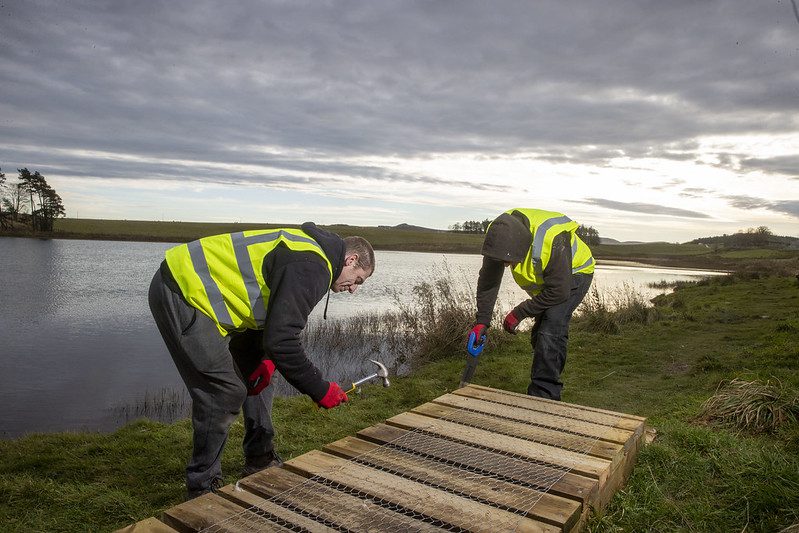 unpaid workers fixing boardwalk